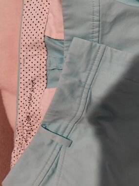 Talbots Light Blue Women's Shorts